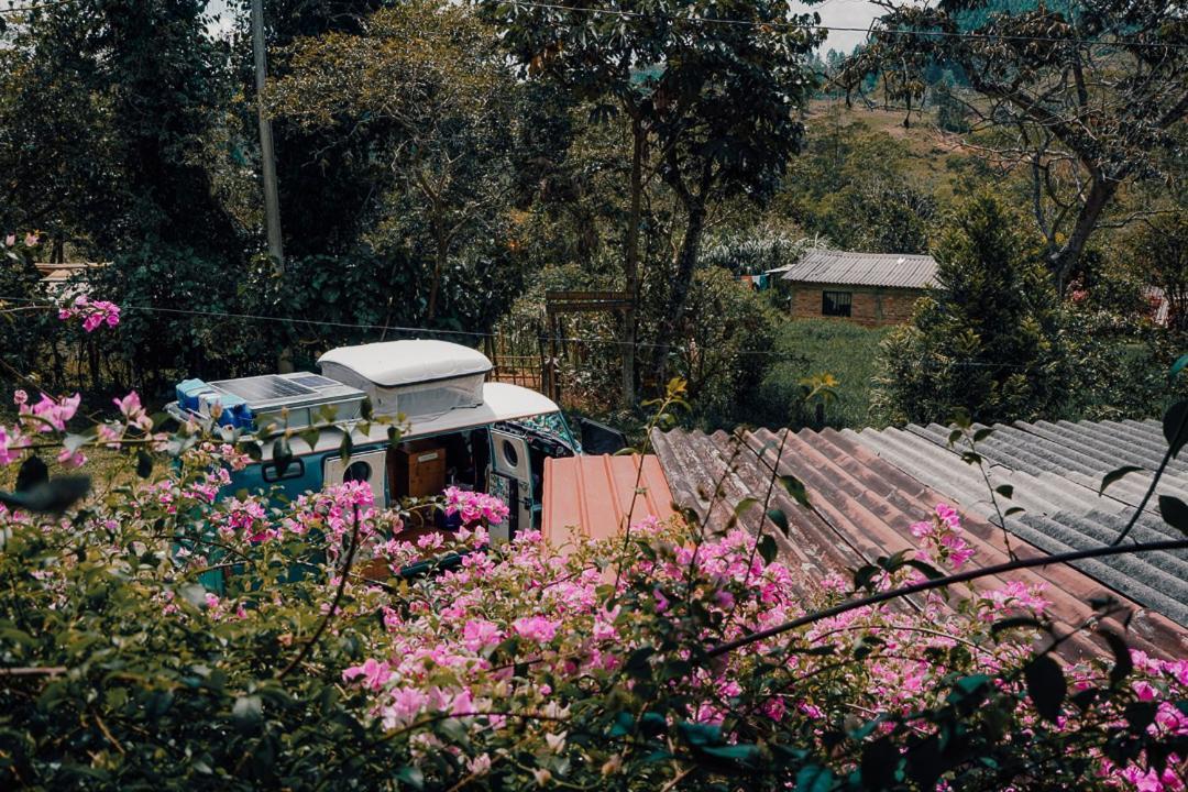 Green Hostal Popayan Pensión *